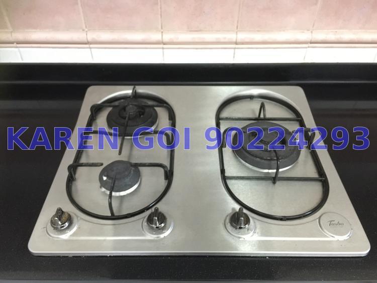 Oleander Towers (D12), Apartment #136298652